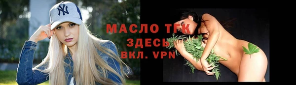 твердый Бородино